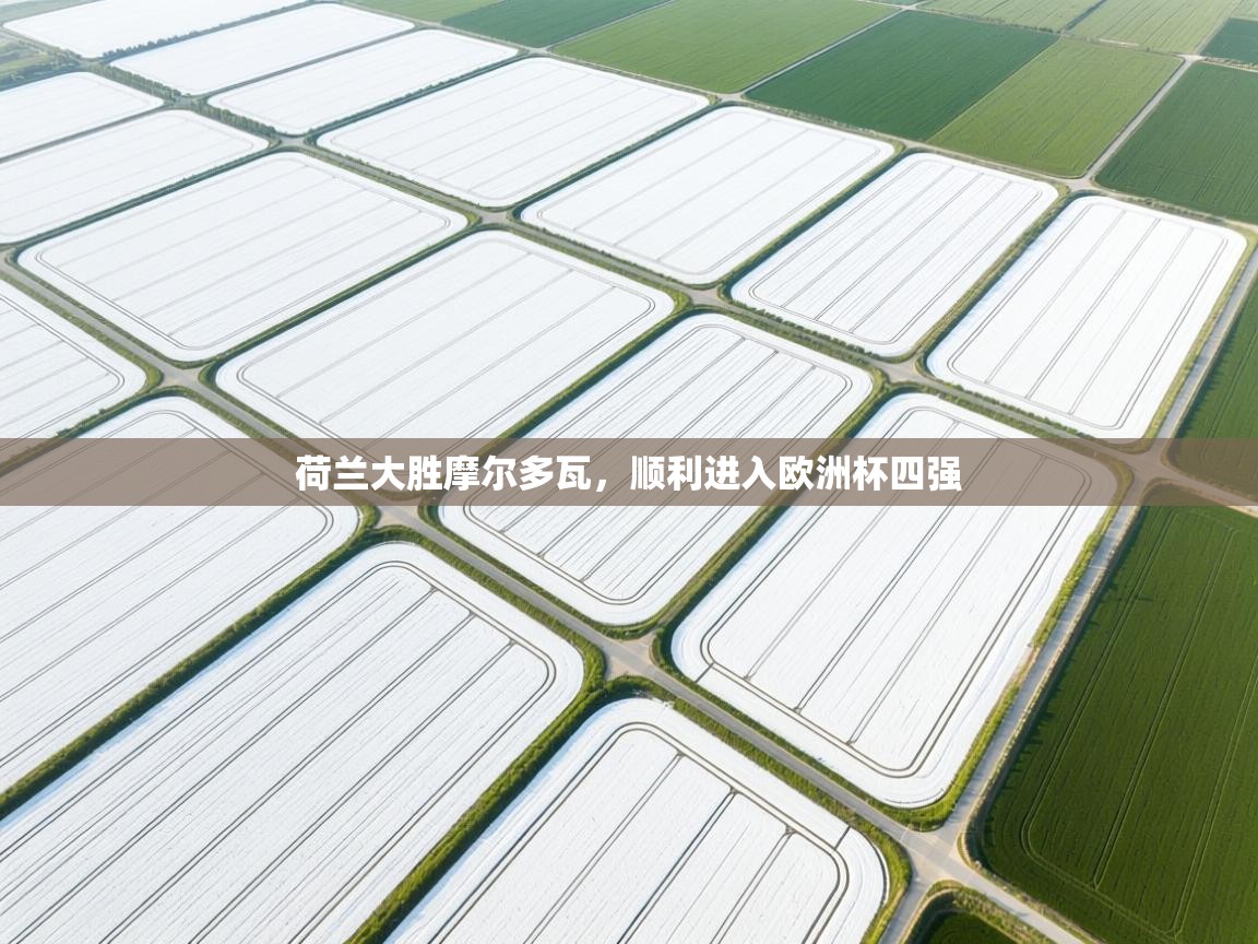 荷兰大胜摩尔多瓦，顺利进入欧洲杯四强  第1张