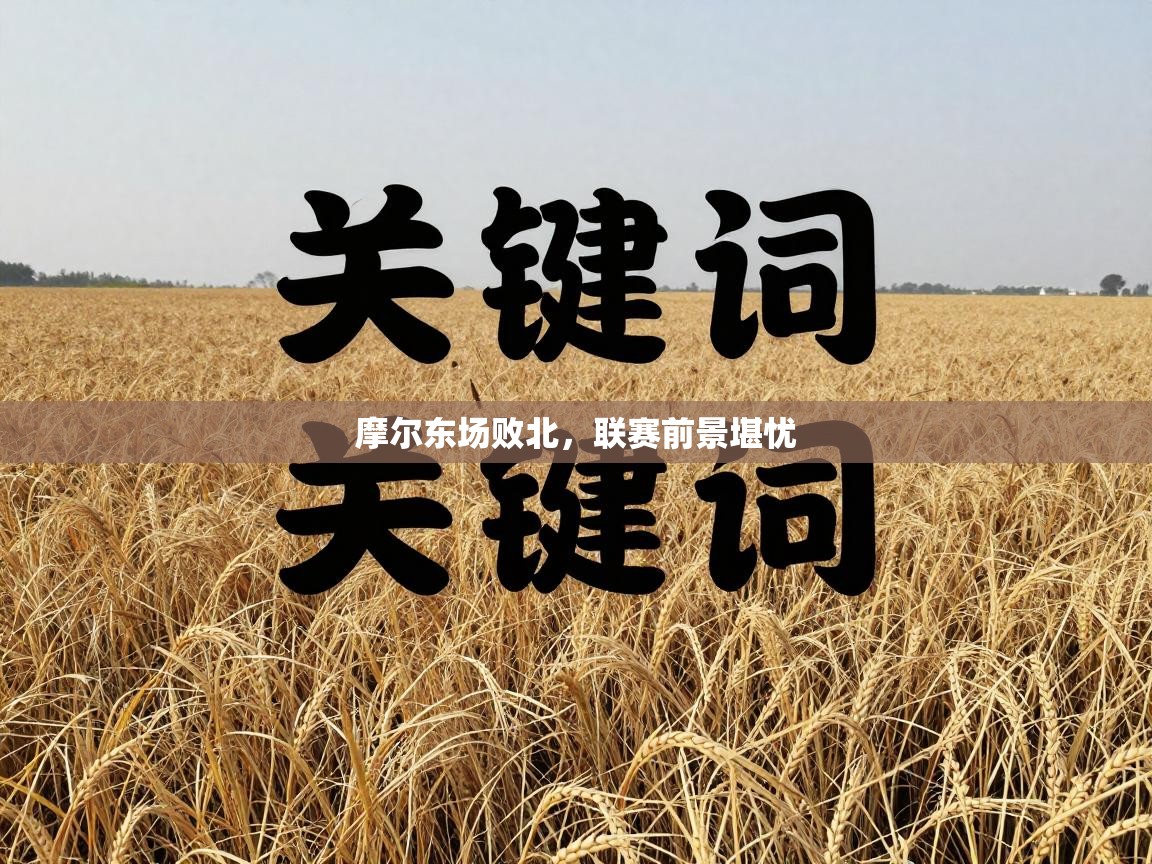 摩尔东场败北，联赛前景堪忧  第2张