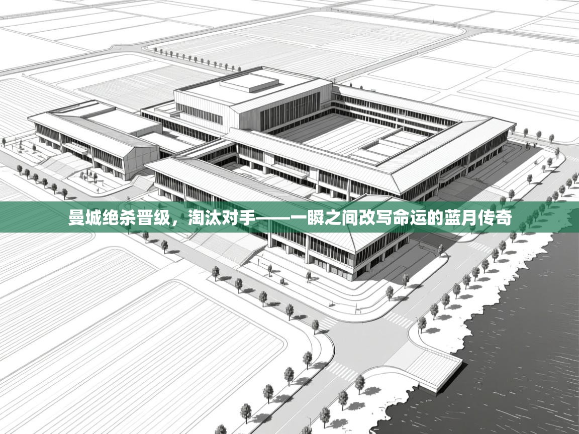 曼城绝杀晋级，淘汰对手——一瞬之间改写命运的蓝月传奇  第2张